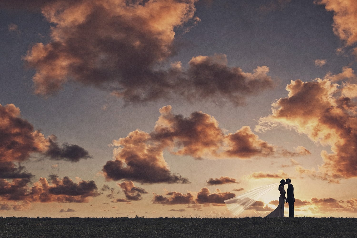 wedding photography market predictions 2026